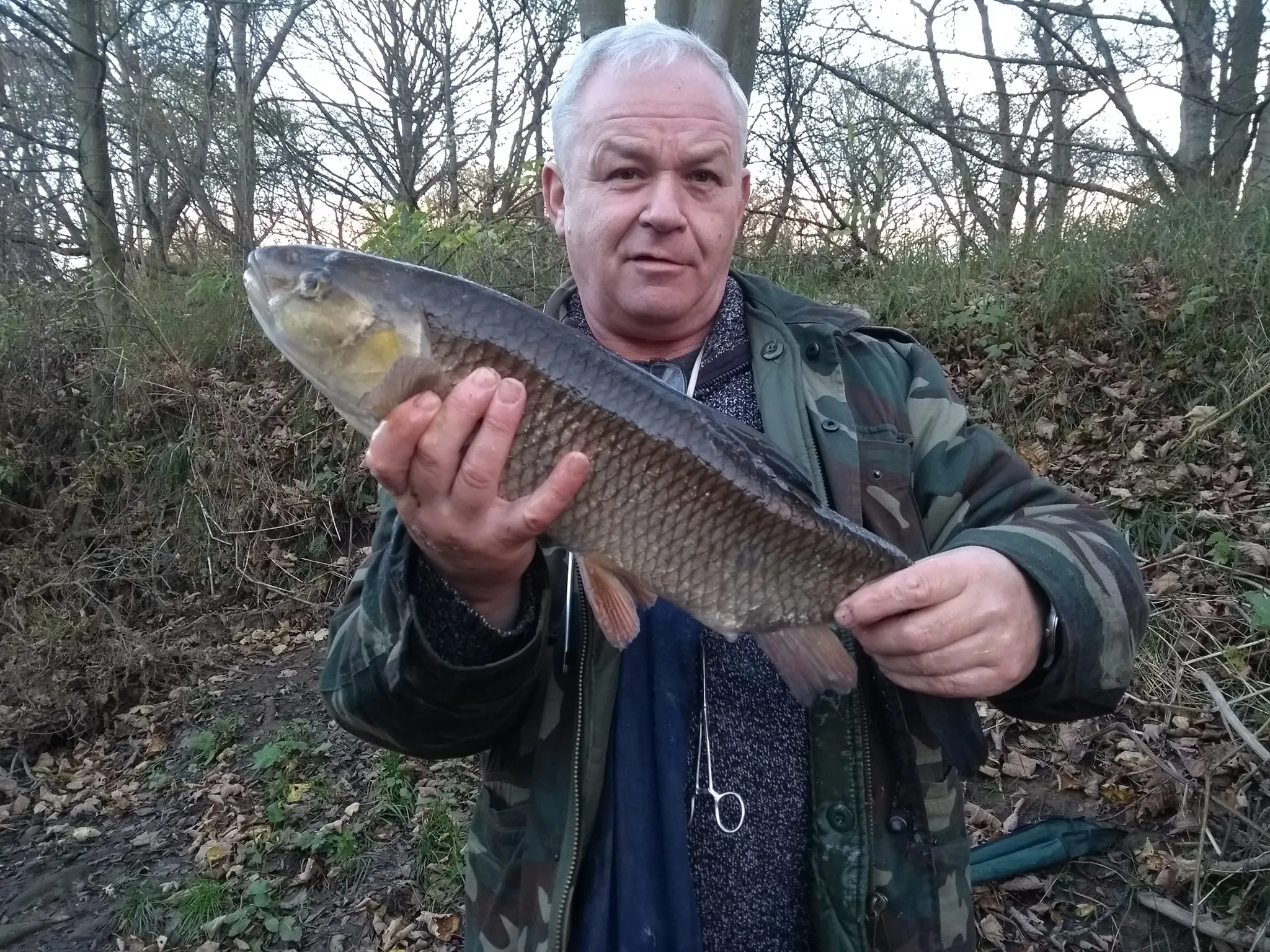 DBT Membership 2022 Chub
